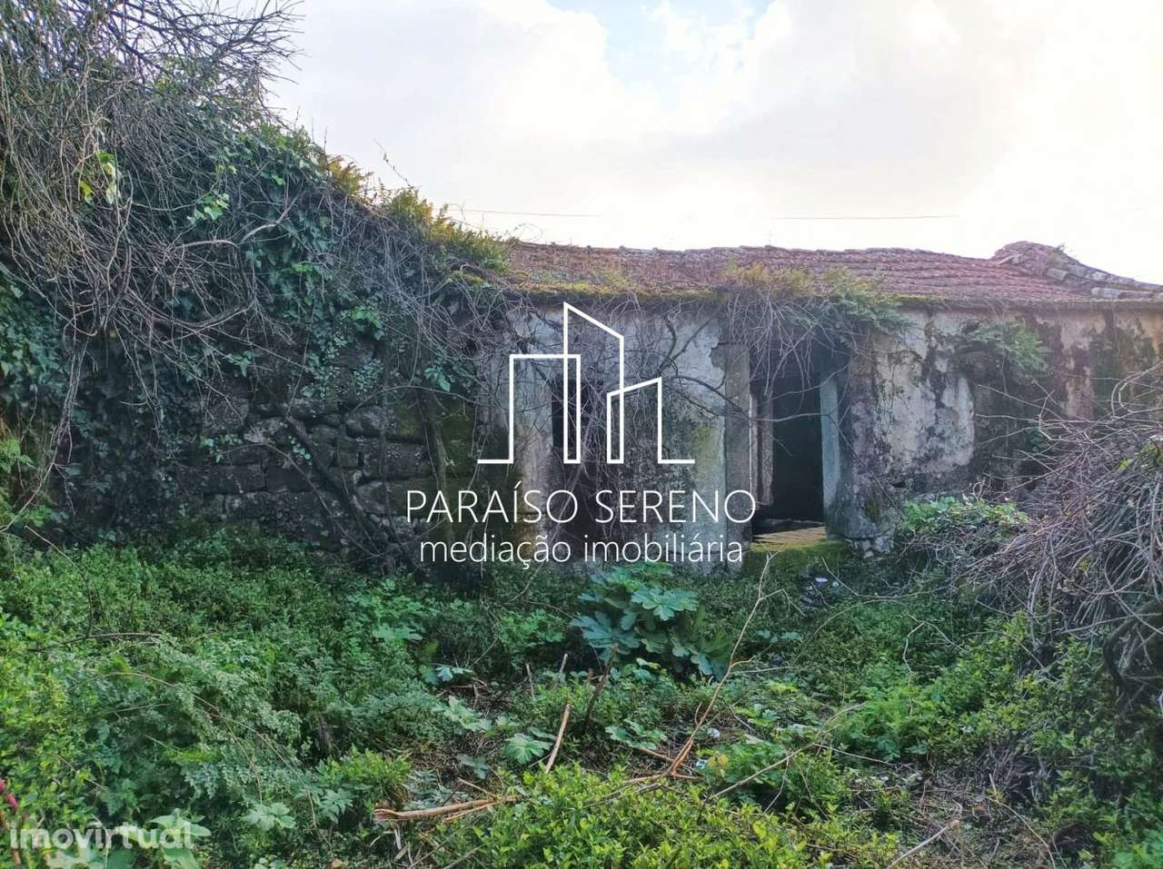 Moradia para Restauro em Vale de Cambra - Grande imagem: 3/6