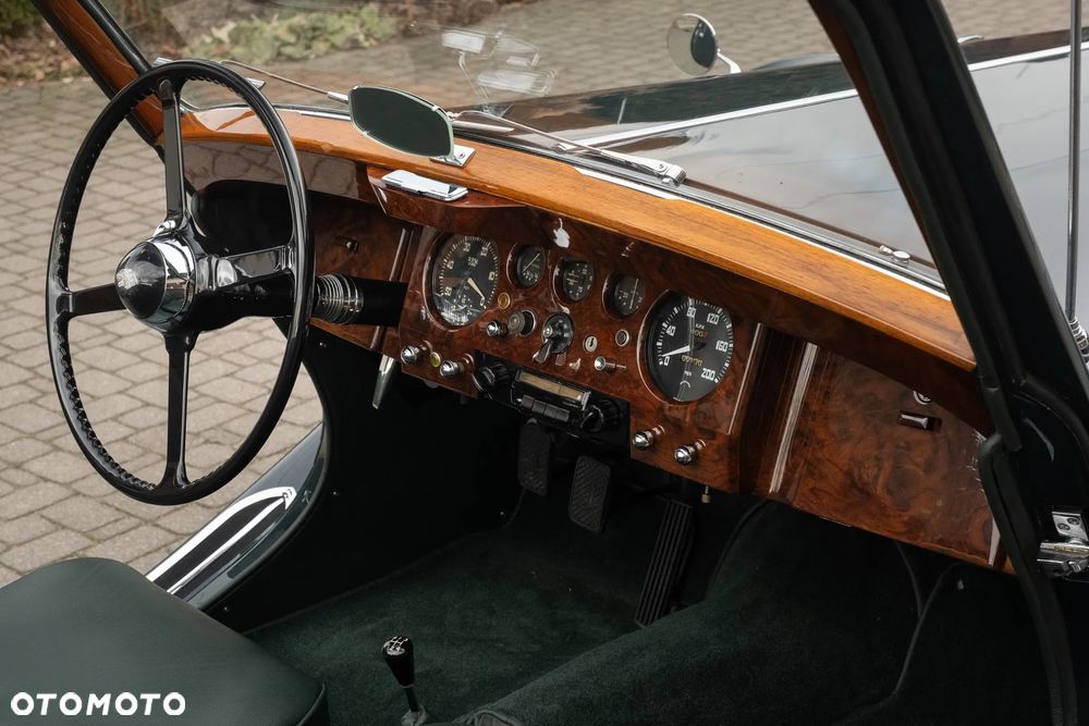Jaguar Inny - 22