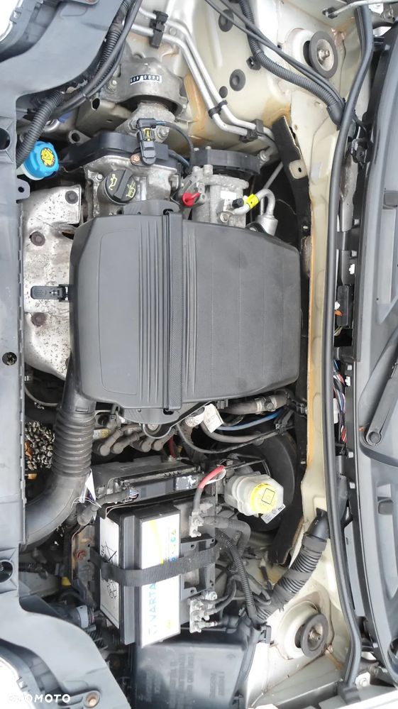 Fiat Panda 1.2 Active Eco - 10