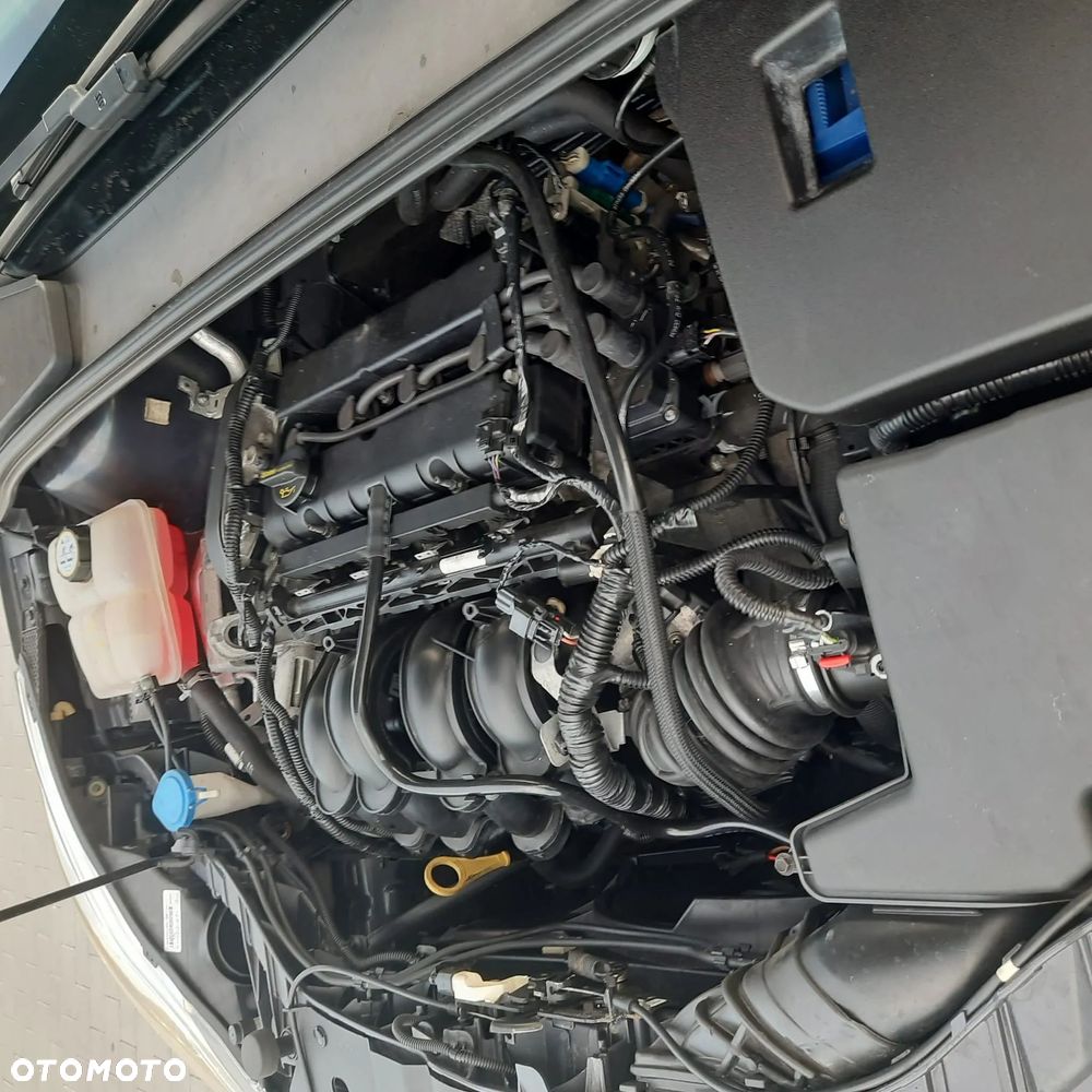 Ford Focus 1.6 Ambiente - 14