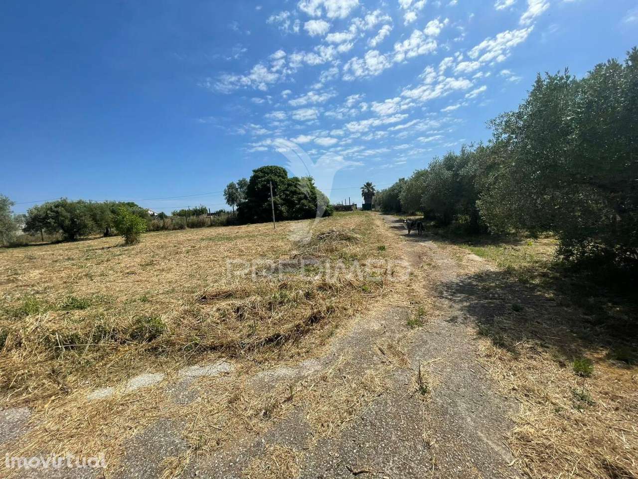 Moradia Concelho da Azambuja para remodelação - Grande imagem: 3/10