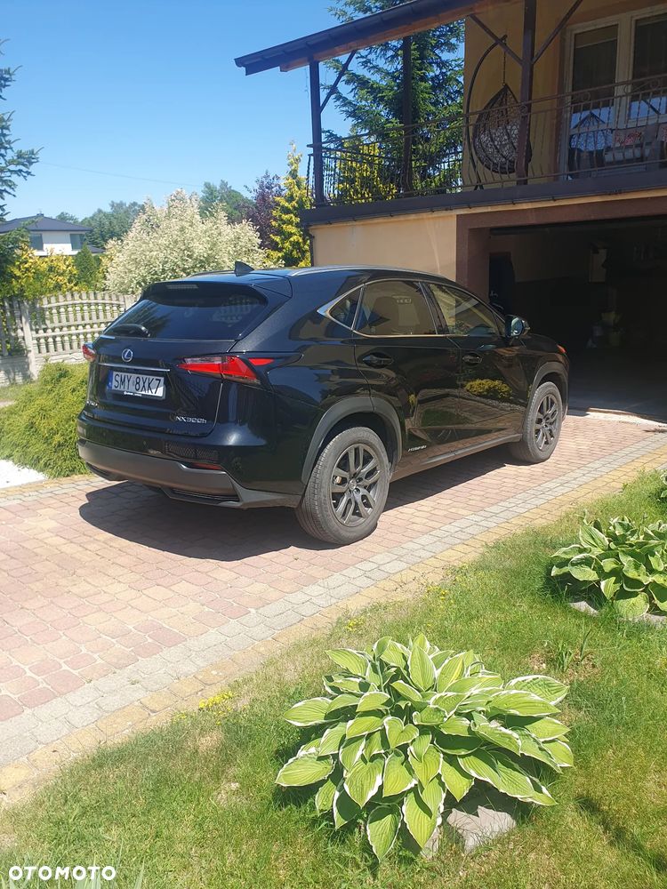 Lexus NX 300h Elegance AWD - 4