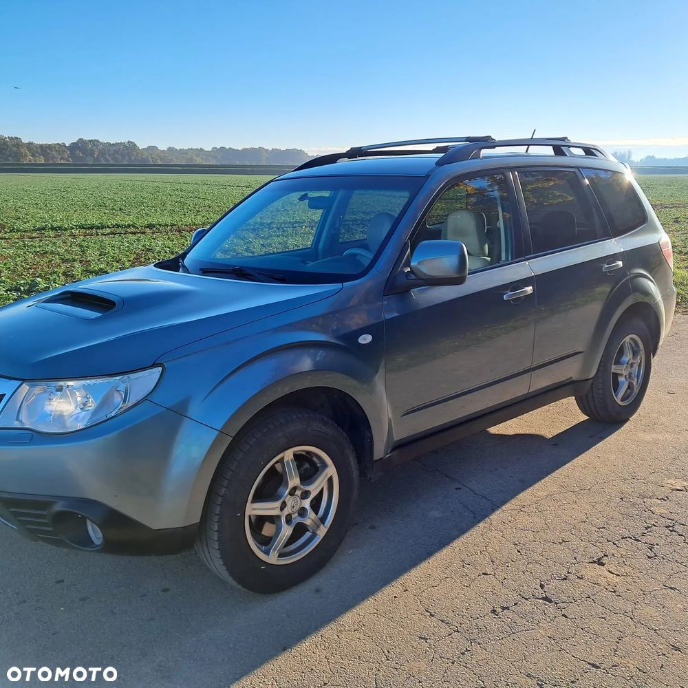 Subaru Forester - 16