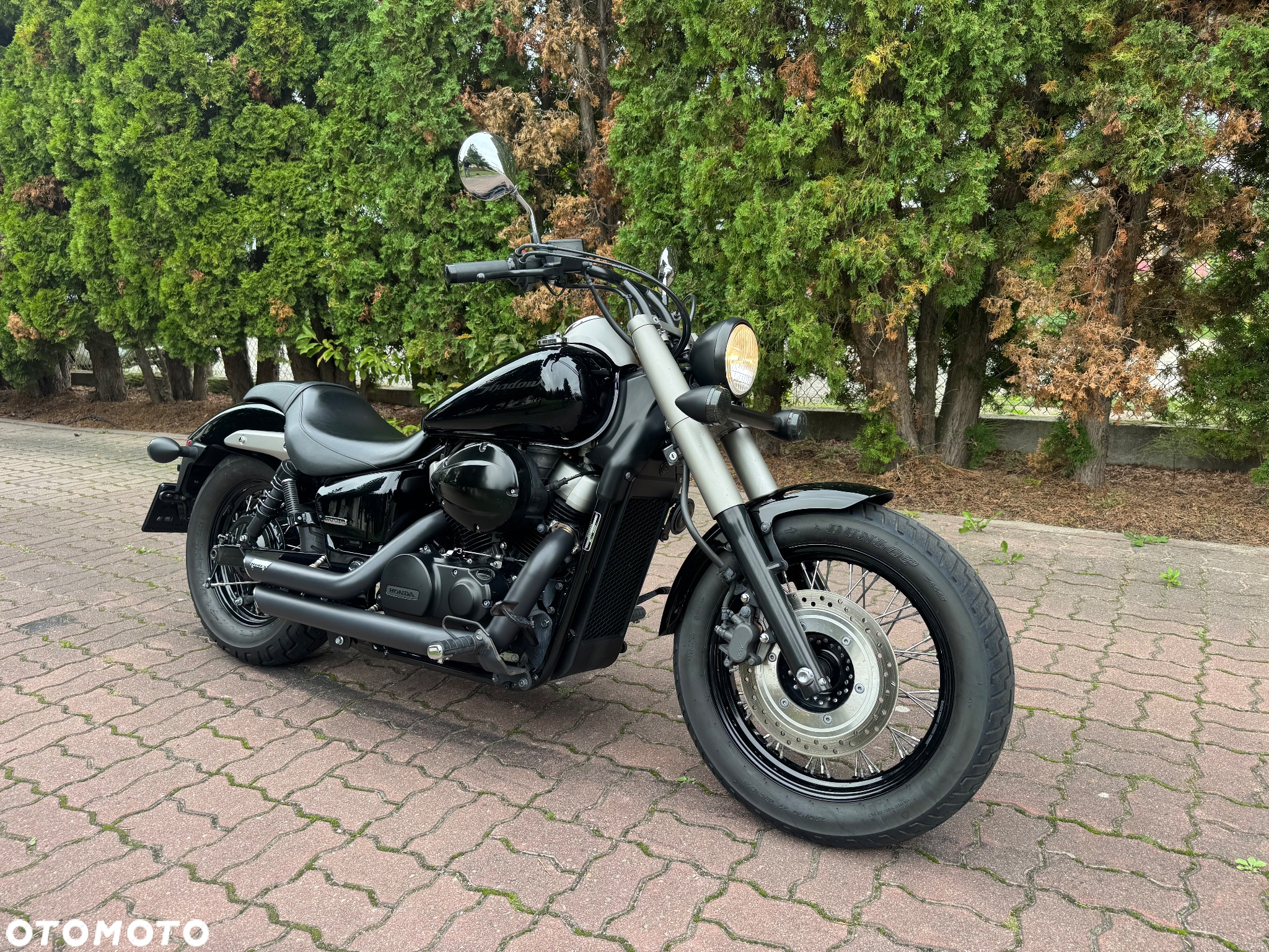 Honda Shadow - 3