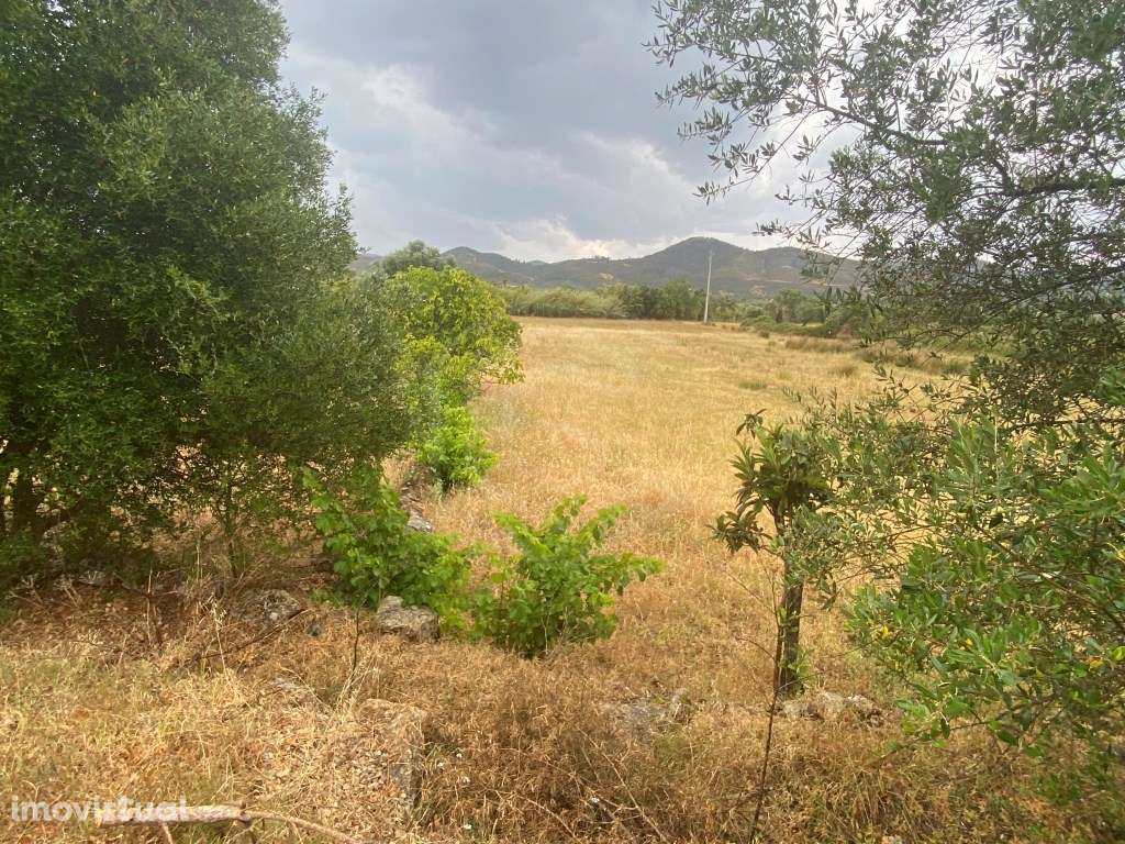 Lote de terreno rústico com a área total de 220m2, Salir, Algarve - Grande imagem: 2/15