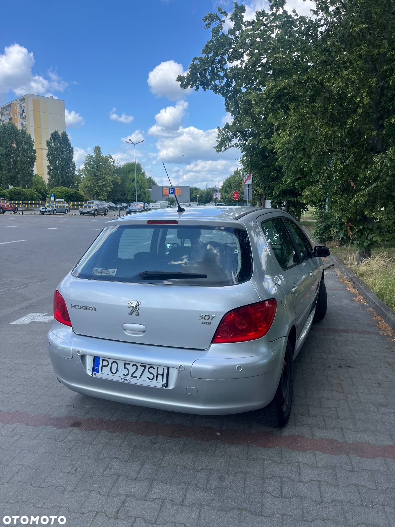 Peugeot 307 1.6 HDI Premium - 3