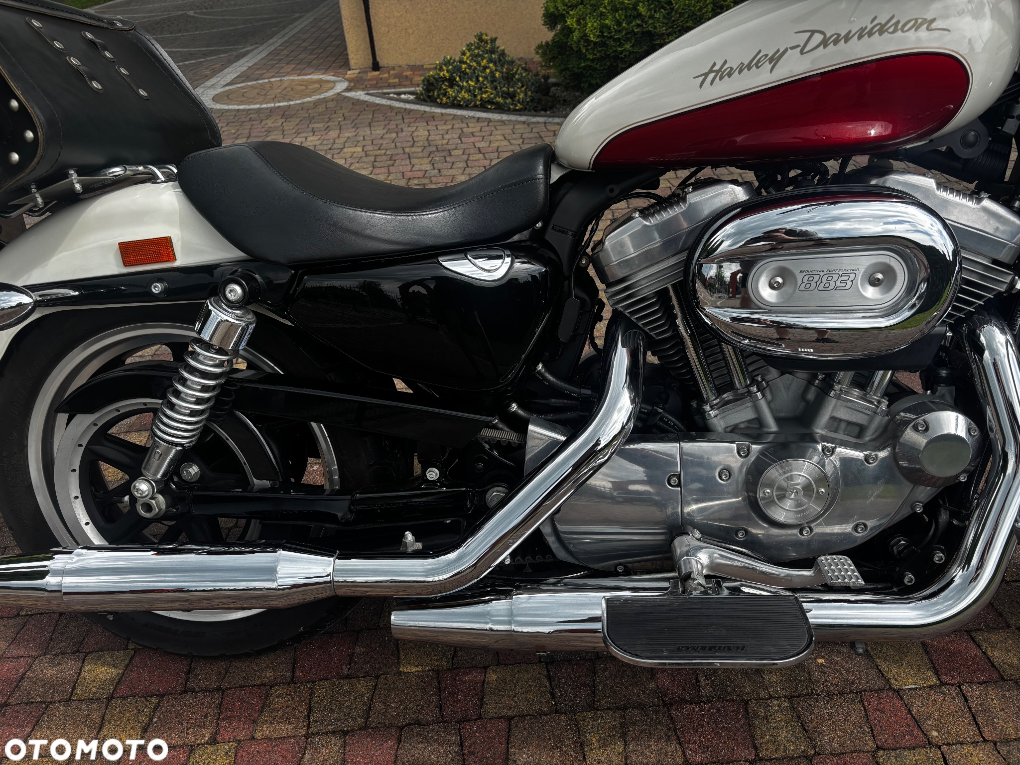 Harley-Davidson Sportster Low 883L - 5