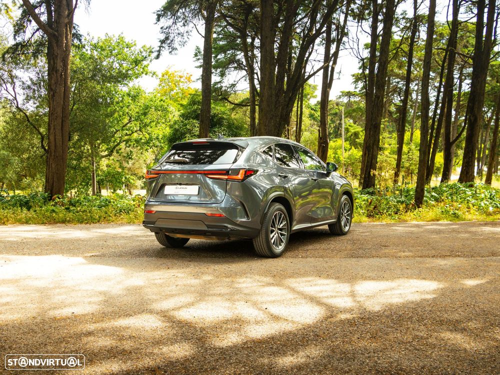Lexus NX 450h+ Executive - 9