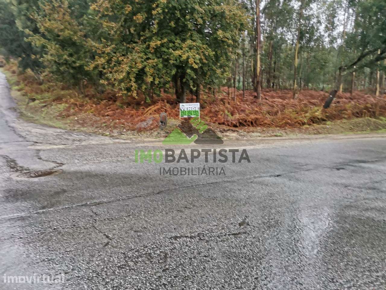 Terreno c/ 6100 m2 nas Caldas de S. Jorge - Grande imagem: 3/11