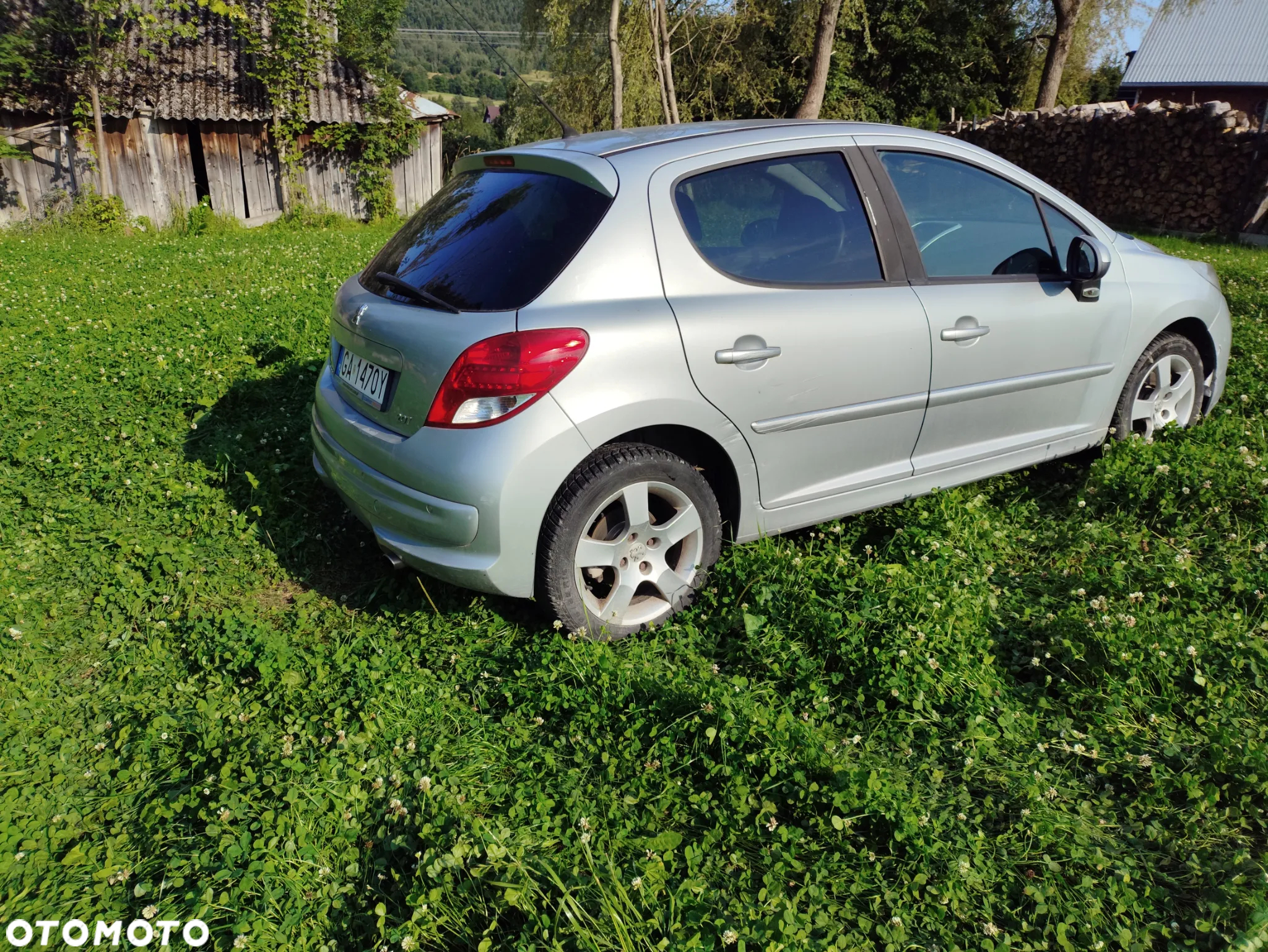 Peugeot 207 - 8