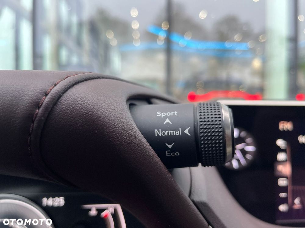 Lexus ES 300h Omotenashi - 31