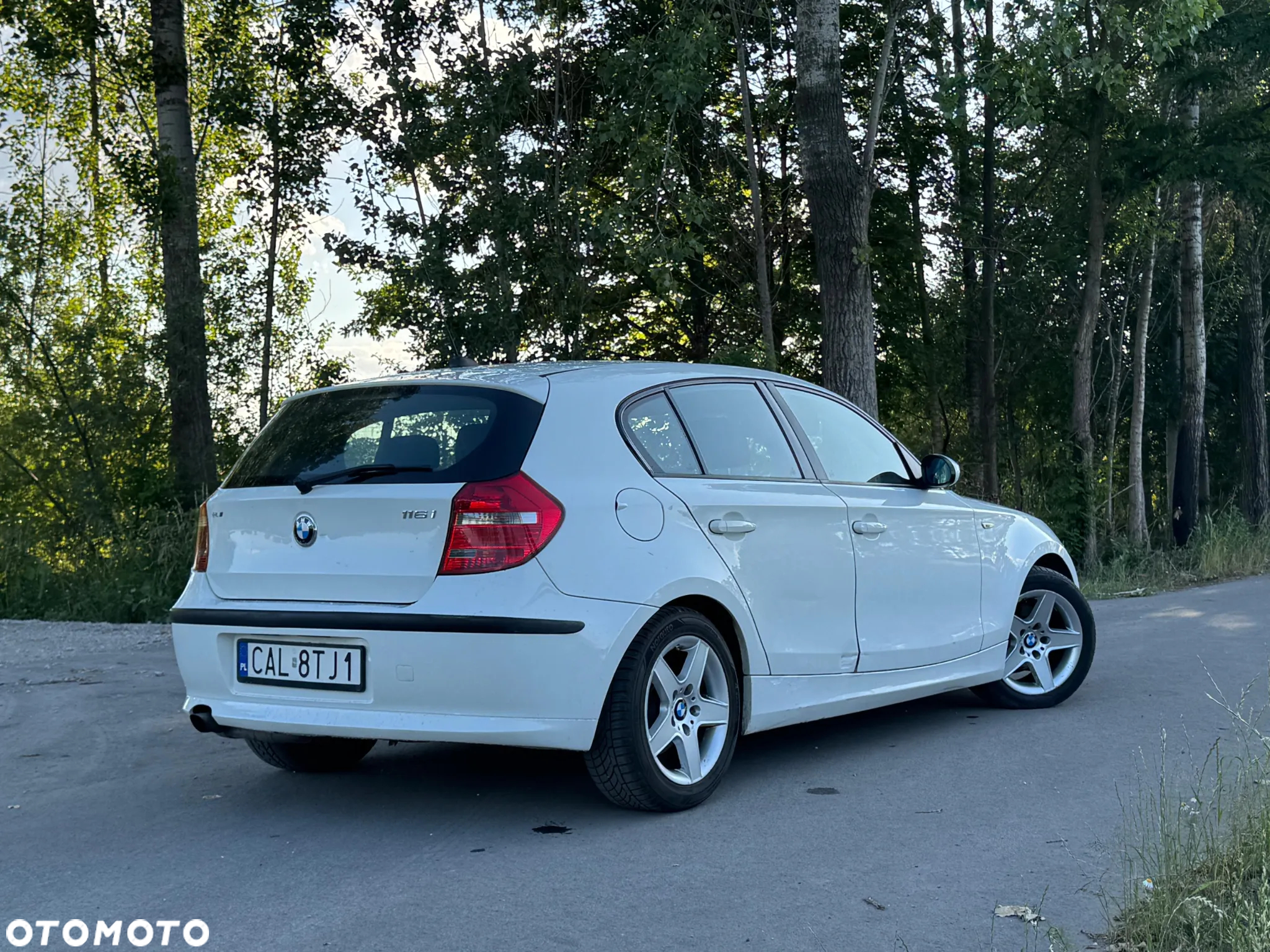 BMW Seria 1 116i - 20