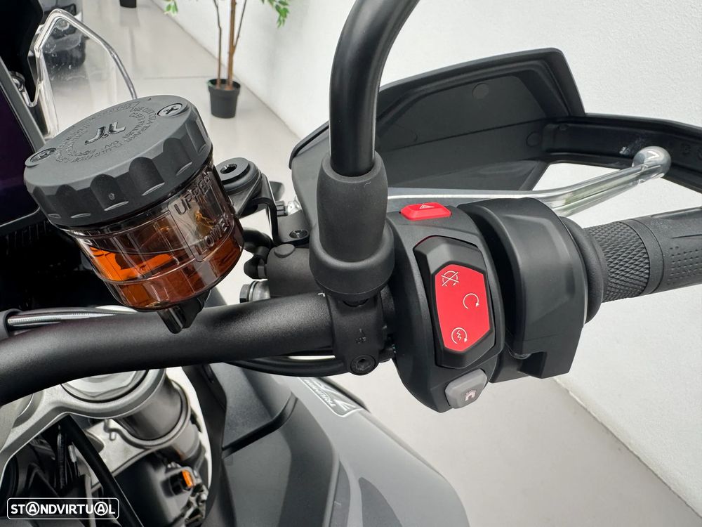 Triumph Tiger 900 GT PRO - 13