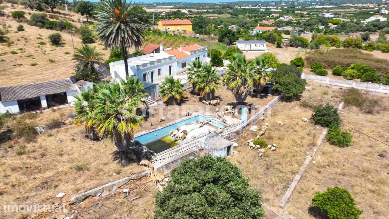 Terreno Para Construção  Venda em Alcantarilha e Pêra,Silves - Grande imagem: 3/5