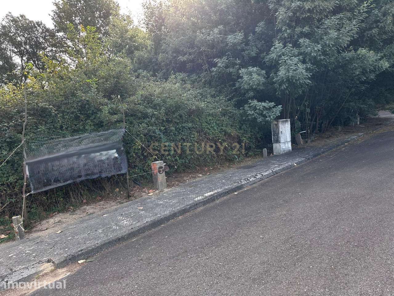 Lote de terreno em Santa Comba Dão com Vista Campestre - Grande imagem: 3/6