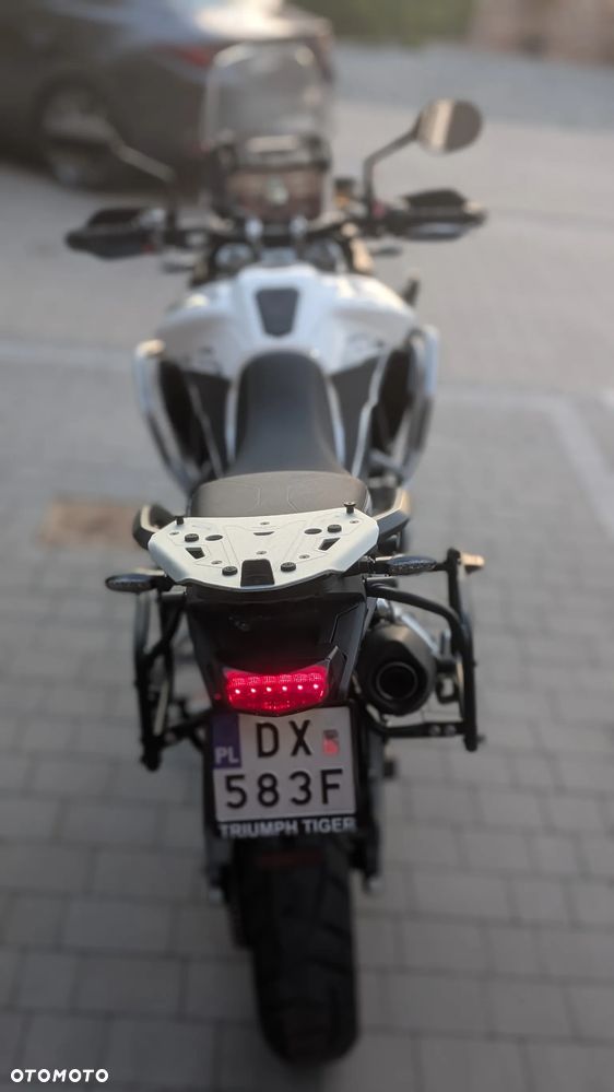 Triumph Tiger - 6