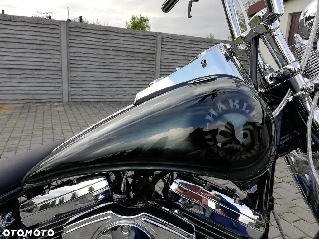 Harley-Davidson Softail Springer Classic - 19