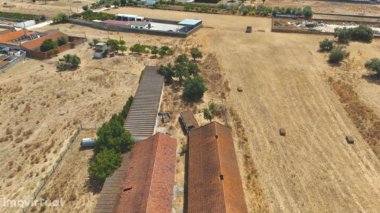 Terreno Misto na Quinta do Anjo - Grande imagem: 5/24