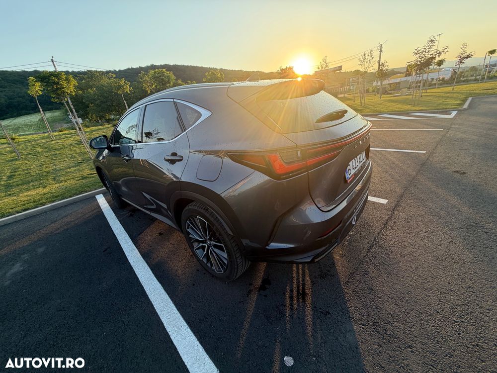 Lexus Seria NX 450h+ AWD CVT PHEV Luxury - 7