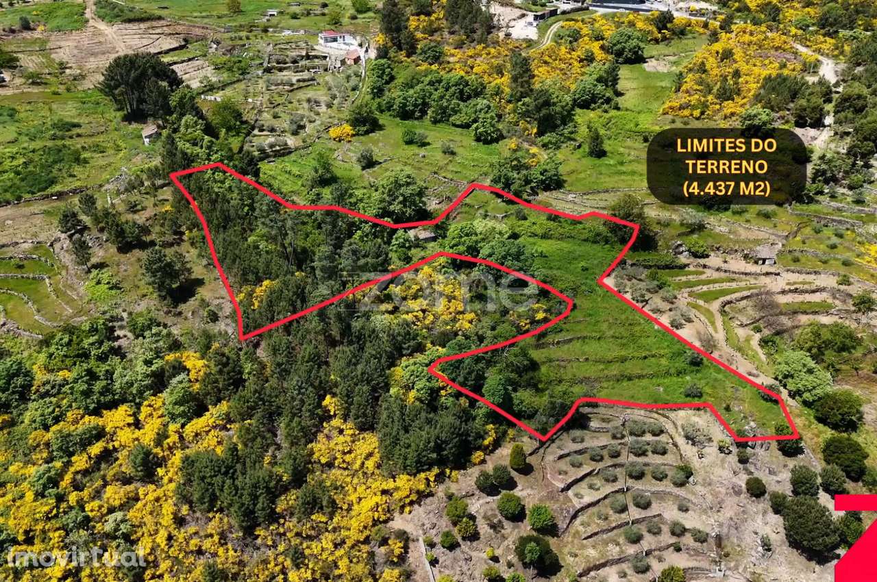 Terreno de 4437m2 com ruína, Santa Marta de Penaguião, Douro - Grande imagem: 5/35