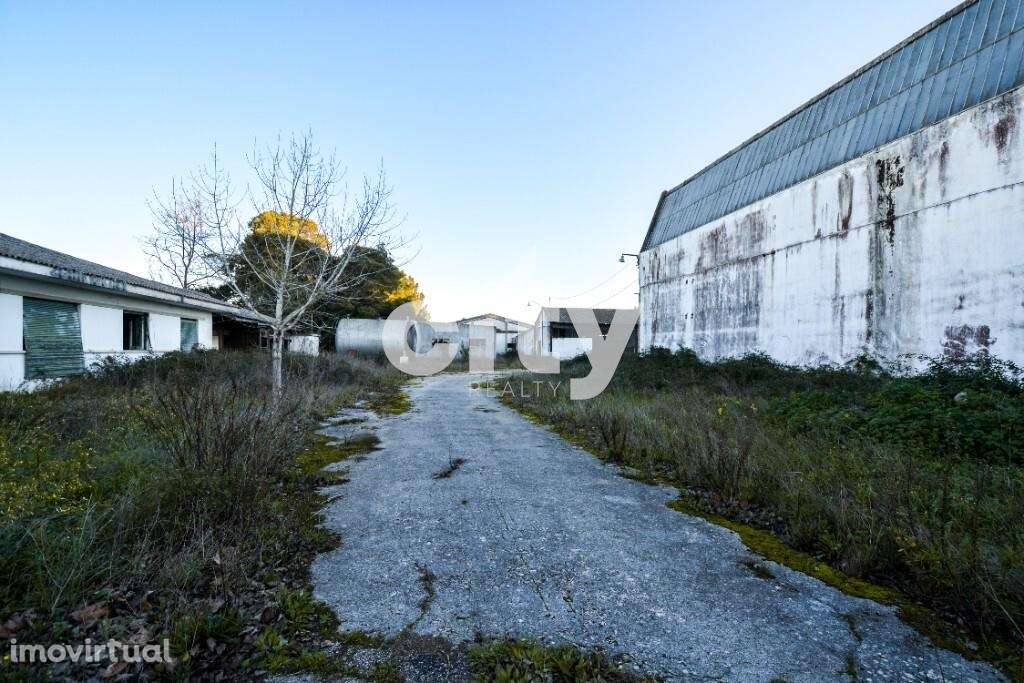 ARMAZÉM PARA RECUPERAR NO CARTAXO - Grande imagem: 3/27