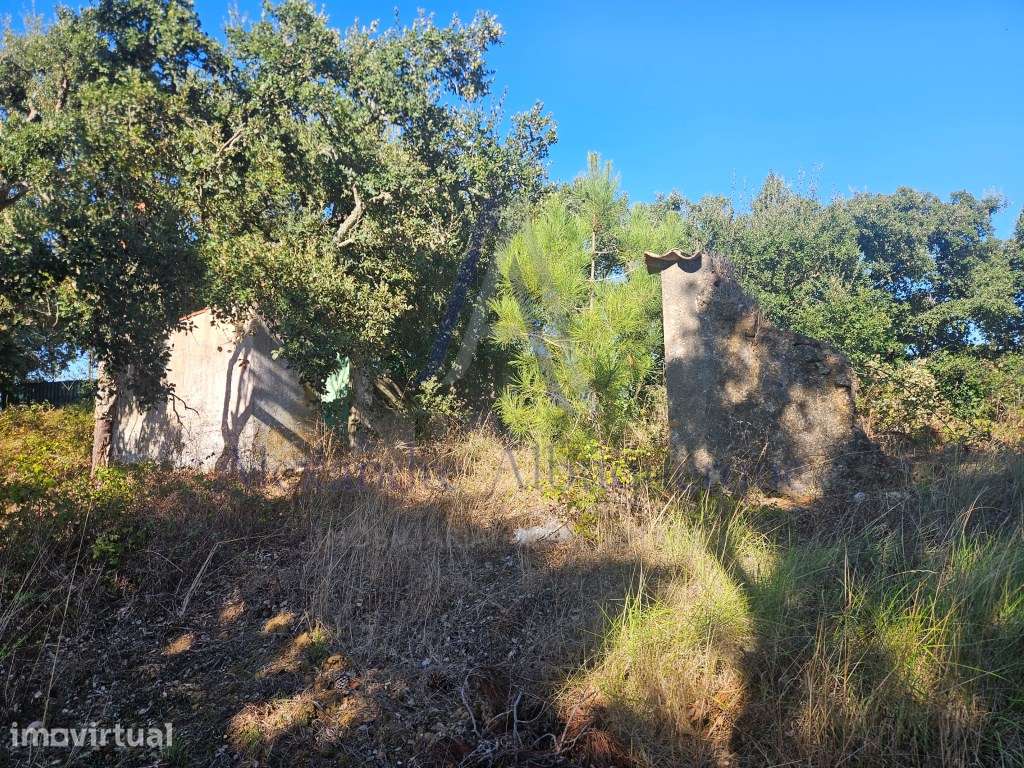 Oportunidade Única de Investimento: Terreno Premium em Sesimbra - Grande imagem: 5/16