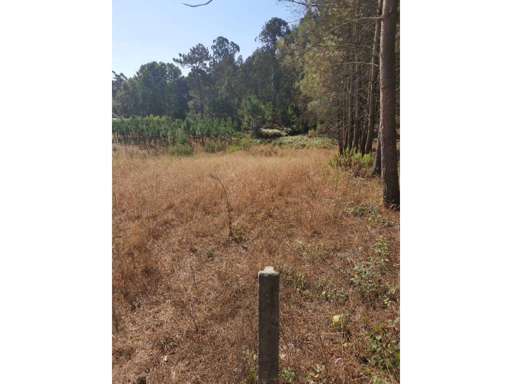 Terreno, Milagres, Leiria - Grande imagem: 2/7