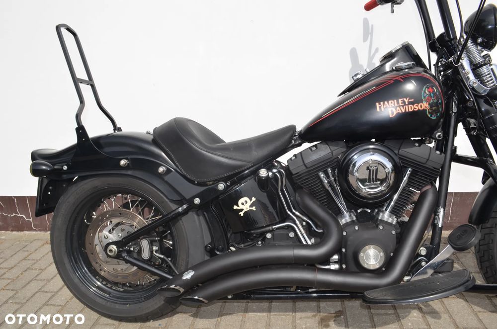 Harley-Davidson Softail Cross Bones - 13