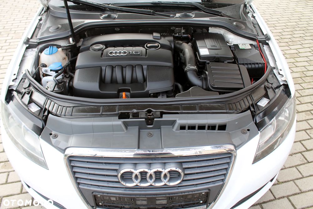 Audi A3 Sportback 1.6 Ambiente - 20