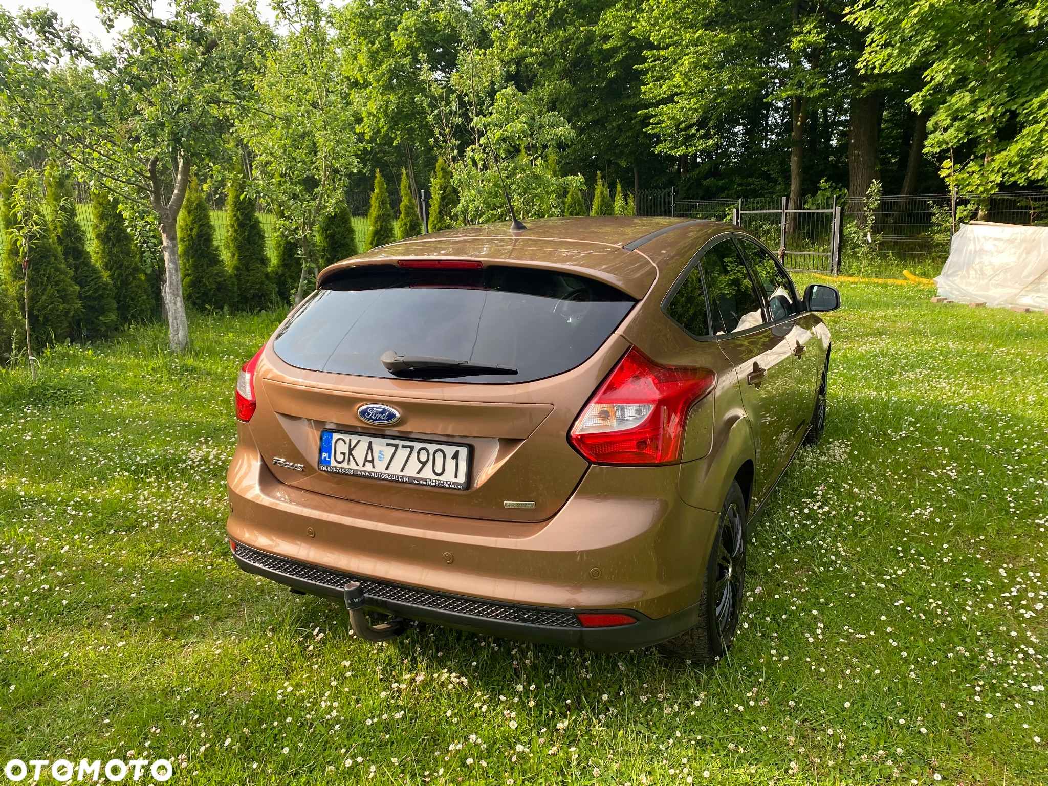Ford Focus - 3