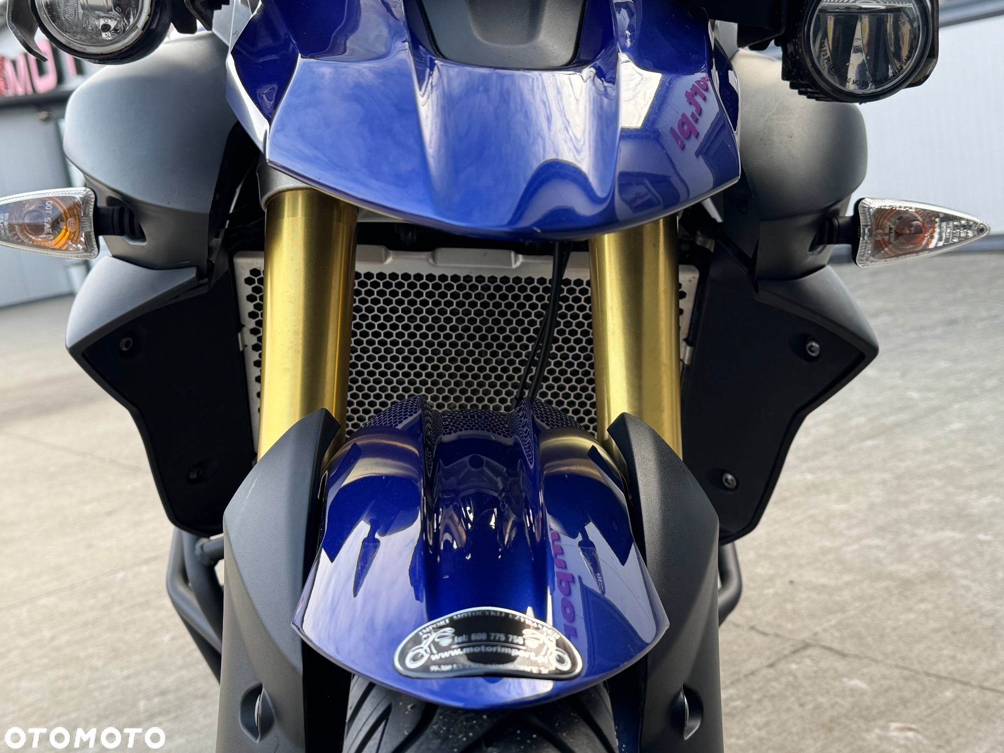 Triumph Tiger - 19