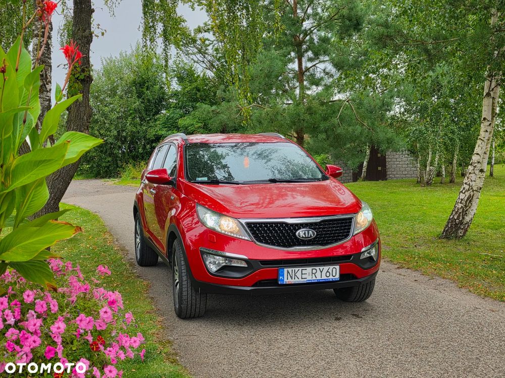 Kia Sportage - 33