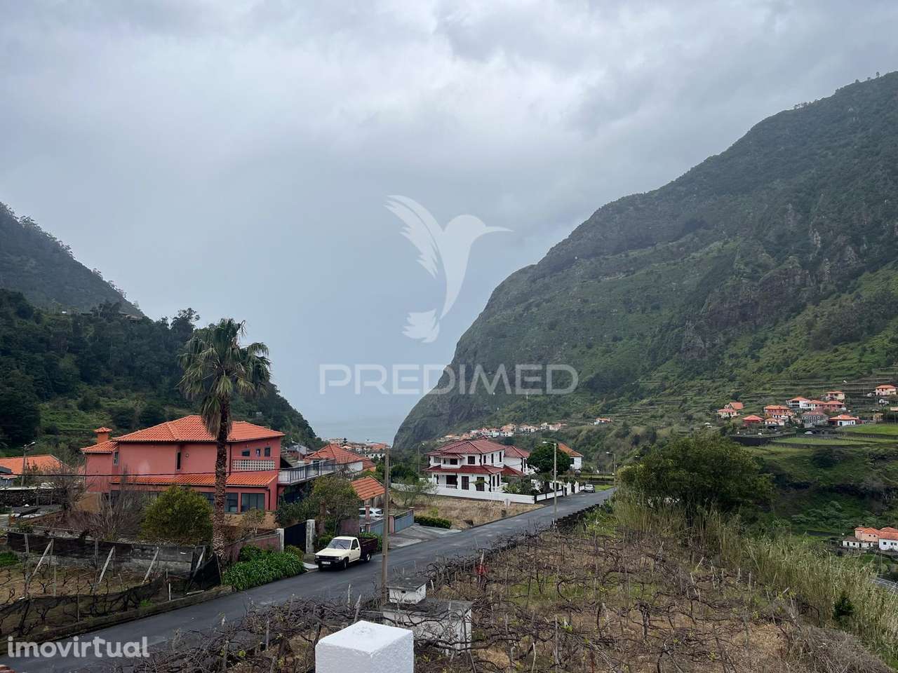 MORADIA T3 COM 2.000M2 DE TERRENO EM S. VICENTE - Grande imagem: 4/17