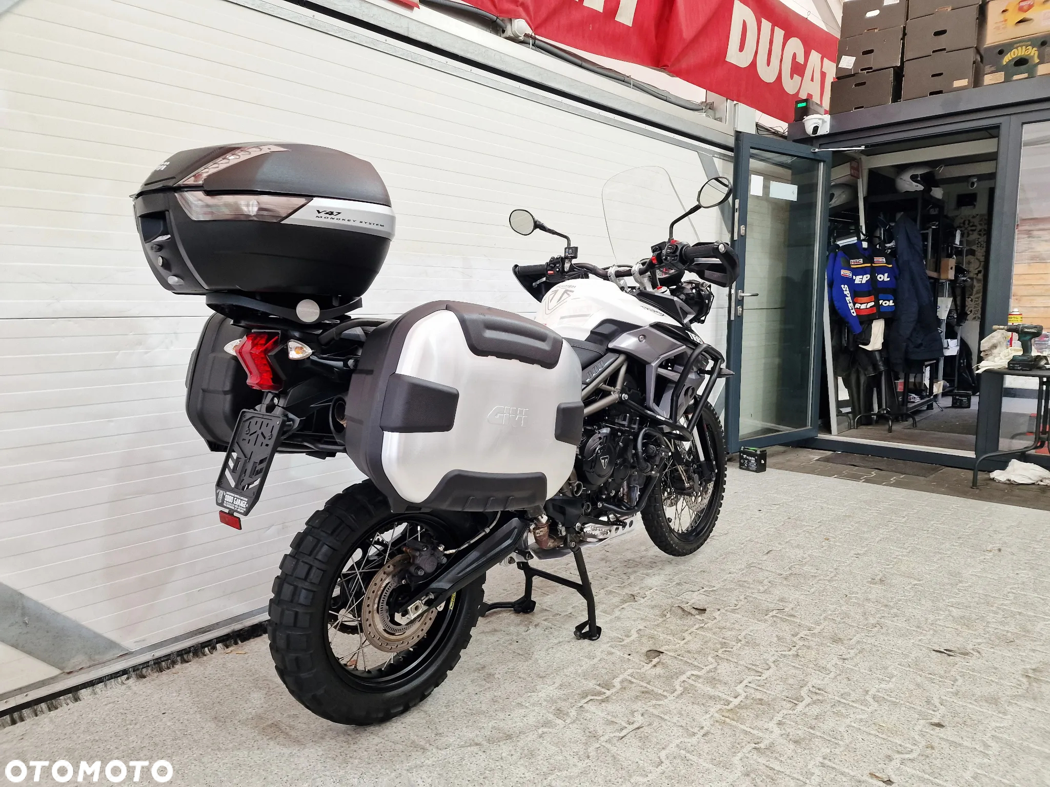 Triumph Tiger - 19