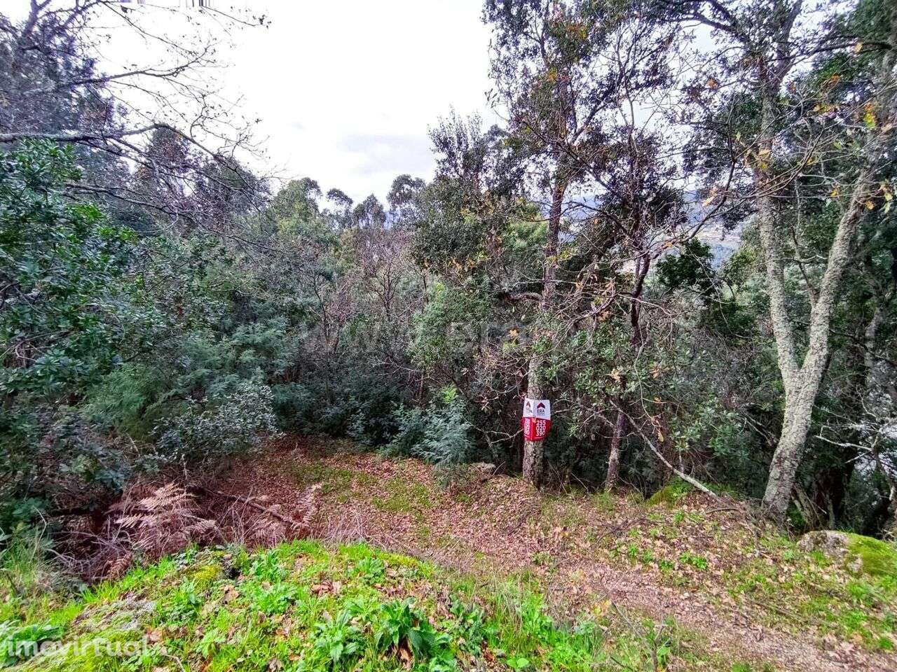 Terreno / Resende, Anreade e São Romão de Aregos - Grande imagem: 2/2