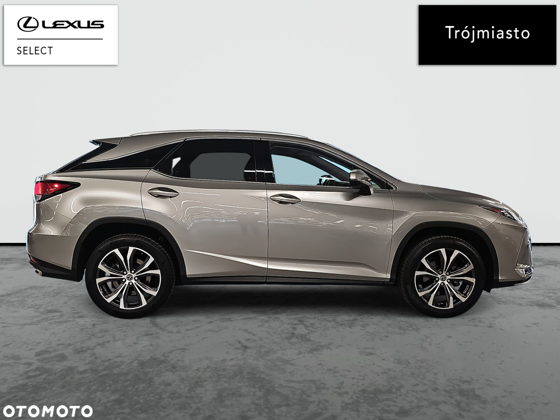 Lexus RX 300 Prestige - 5