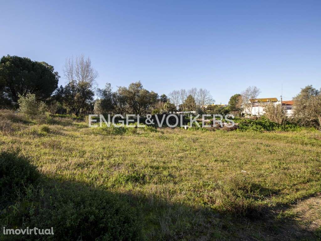 Terreno Agrícola com parcela destacada para construção - Grande imagem: 5/25
