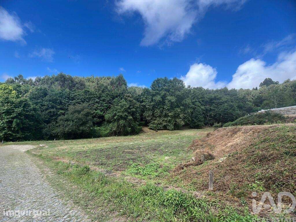 Terreno para construção em Recezinhos (São Mamede) - Grande imagem: 4/6
