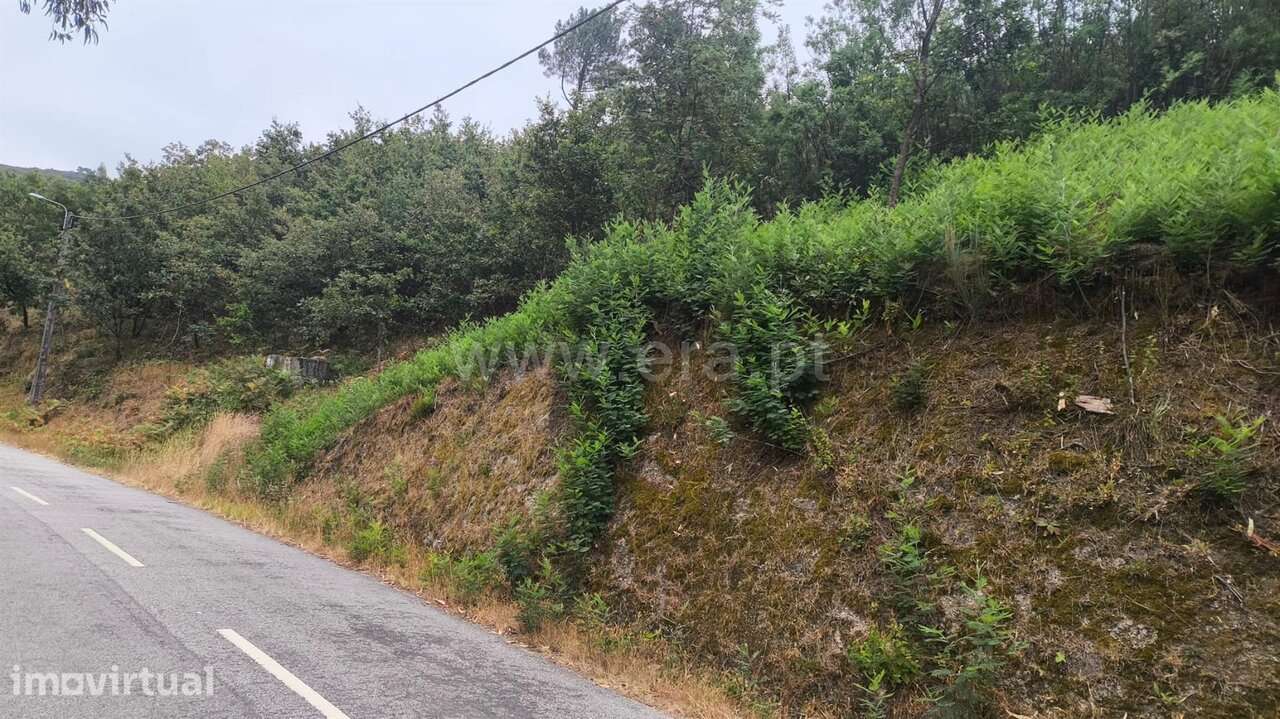 Terreno para Construção / Marco de Canaveses, Soalhães - Grande imagem: 5/8
