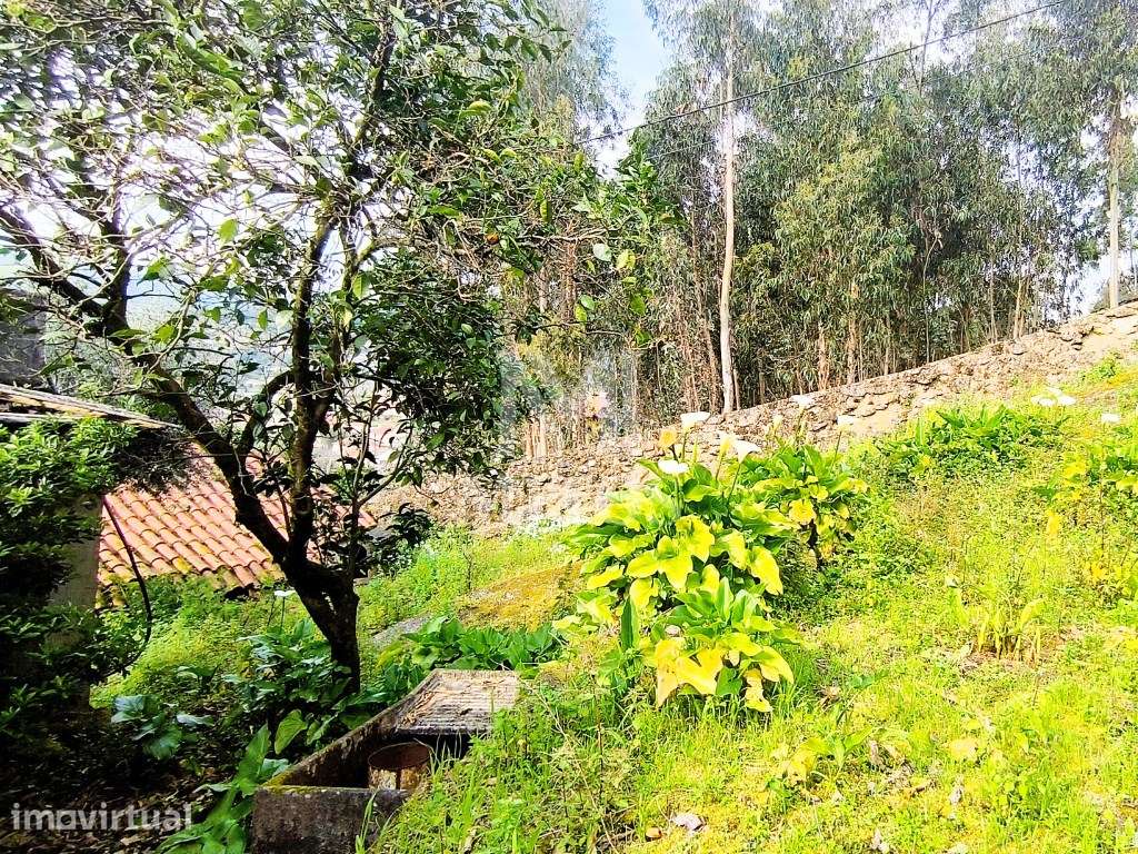 Moradia T3 para venda em Carvoeiro - Viana do Castelo - Grande imagem: 5/23