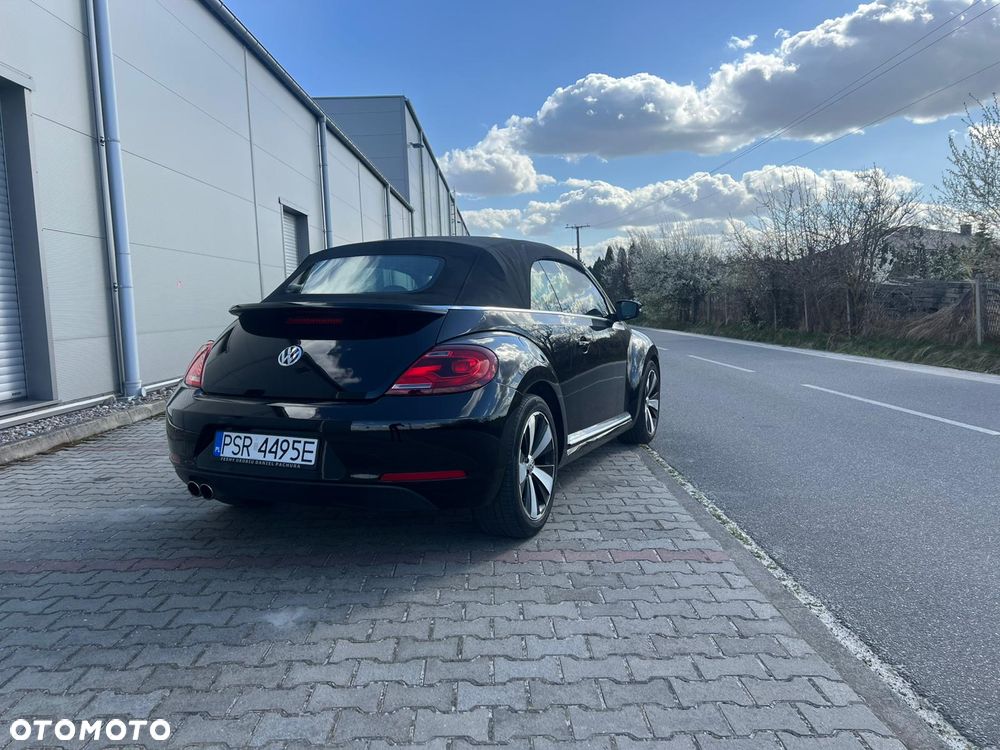 Volkswagen New Beetle - 9