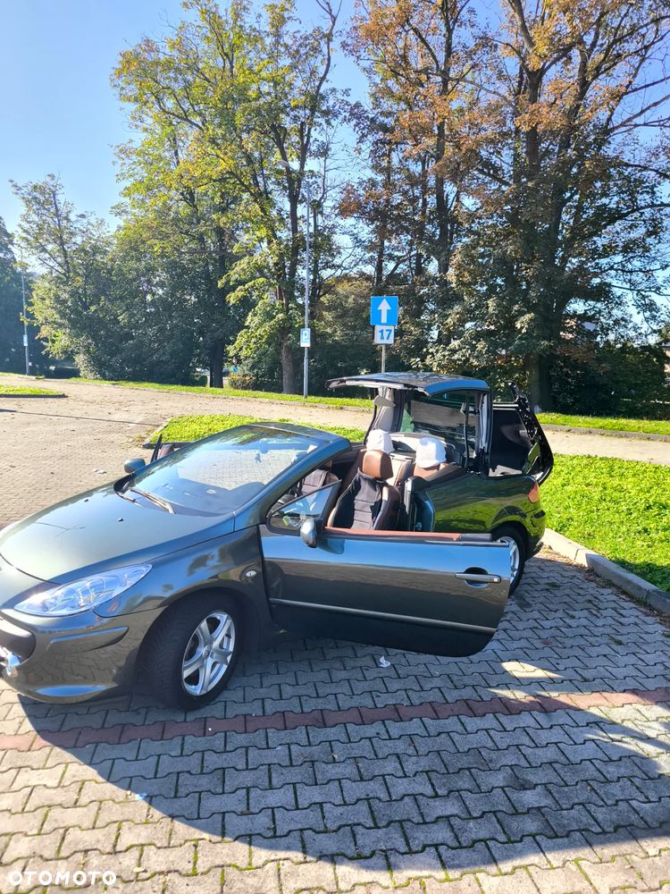 Peugeot 307 CC 2.0 Intense - 18