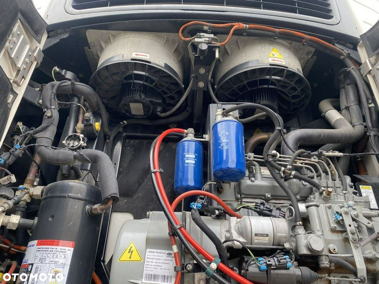 Schmidt scb*s3t - 13