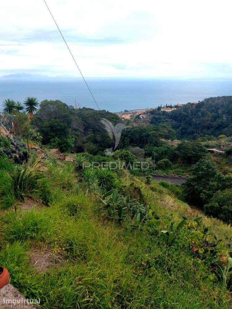 Terreno rústico em  Água de  pena . - Grande imagem: 4/7