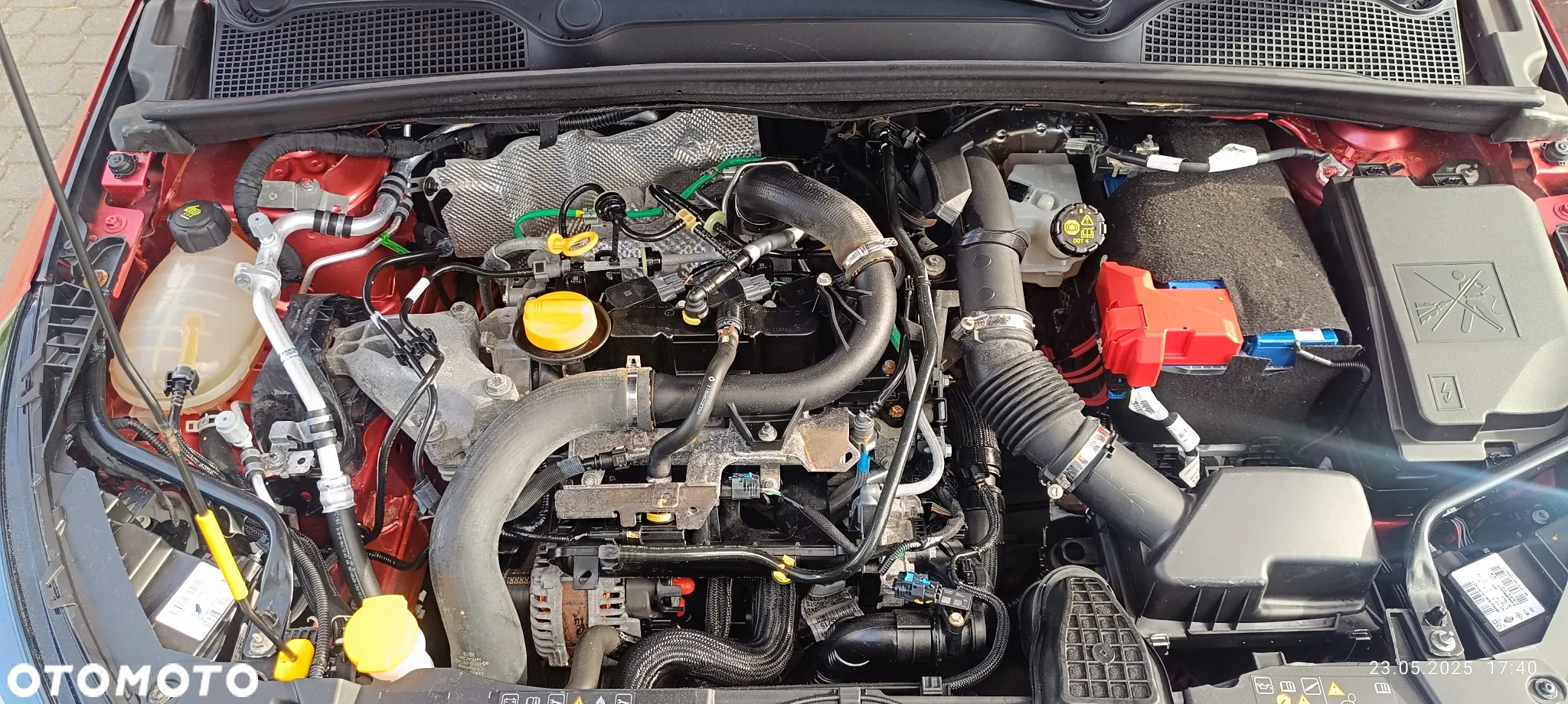 Renault Clio - 11