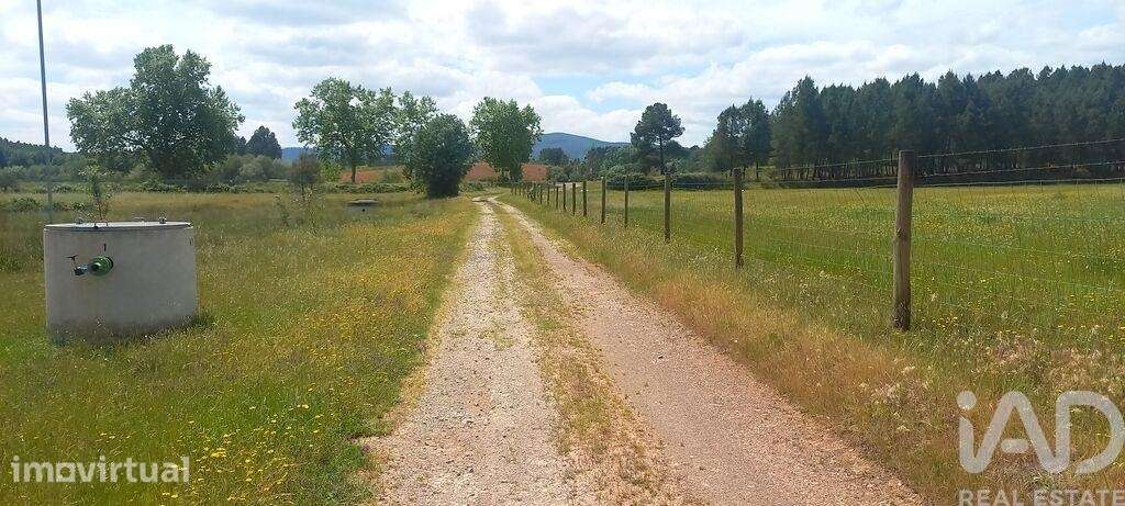 Terreno em Enxames - Grande imagem: 3/16