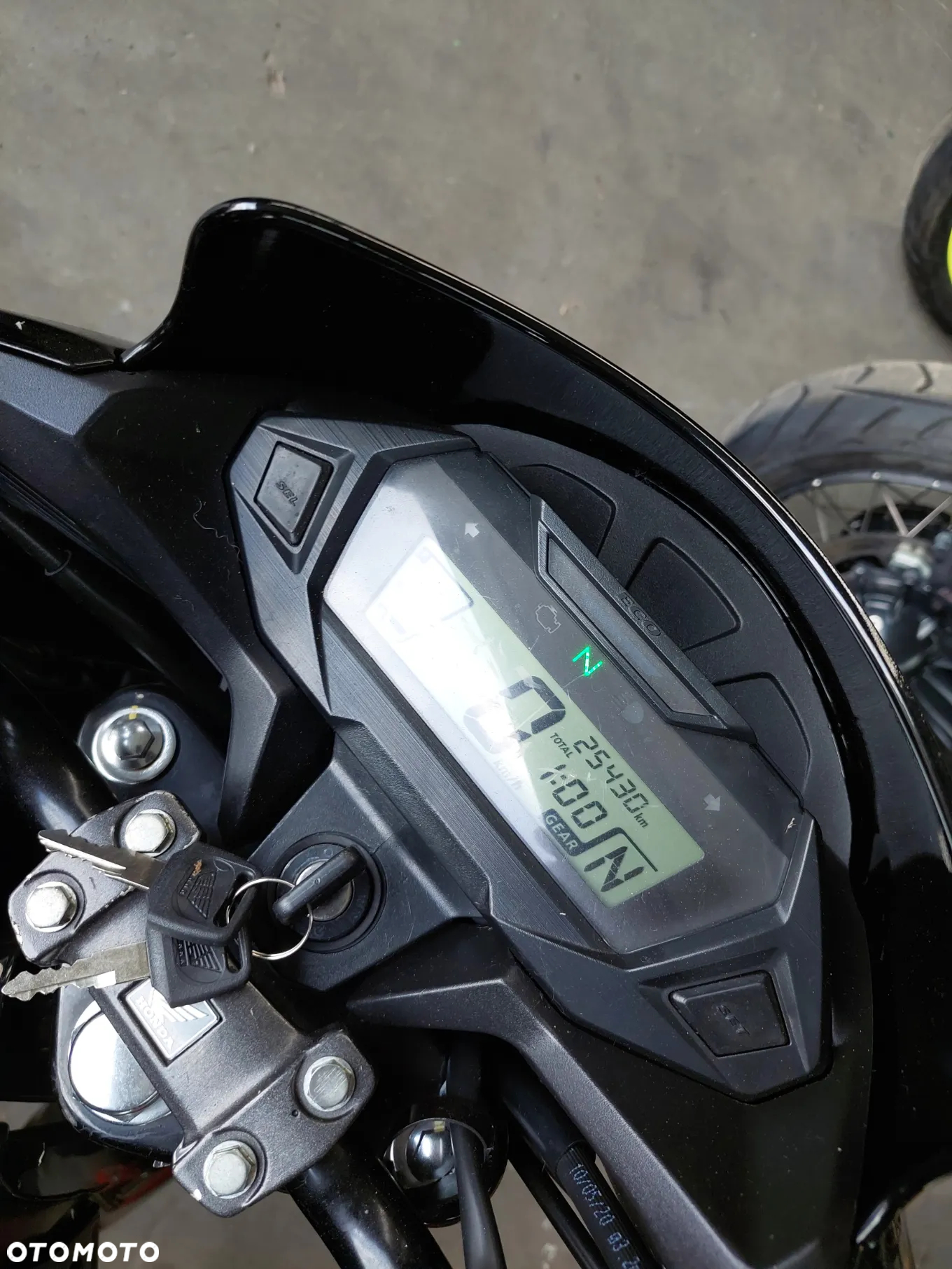 Triumph Tiger - 17