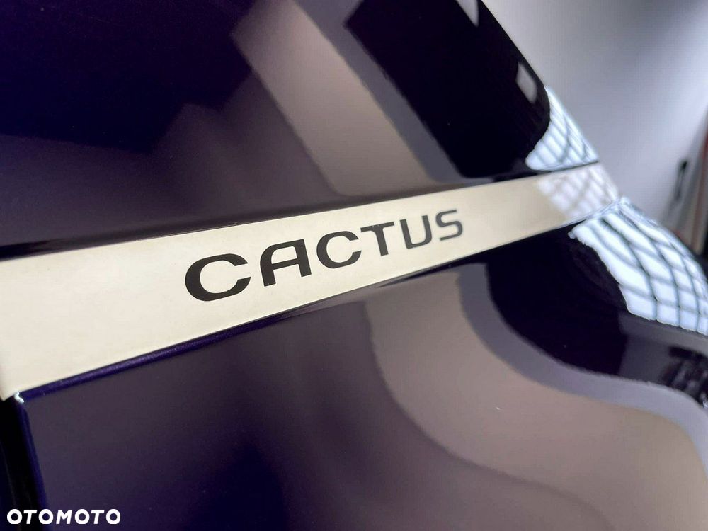 Citroën C4 Cactus VTi 82 Shine - 27