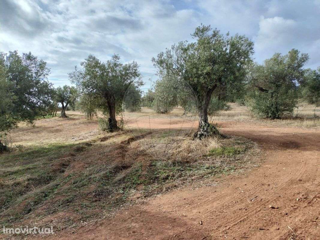 Terreno  para venda - Grande imagem: 4/7