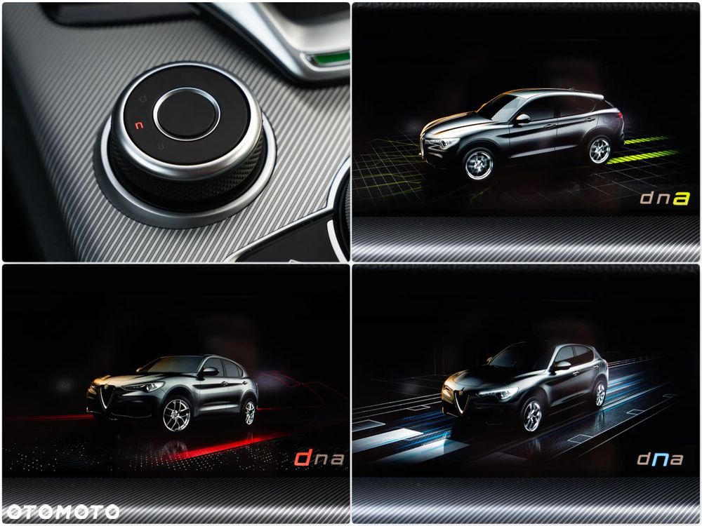 Alfa Romeo Stelvio 2.0 Turbo Veloce Q4 - 36